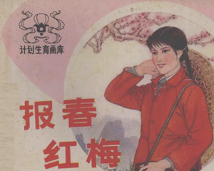 报春红梅 全1册 1984年 PDF连环画 湖南美术 百度网盘下载