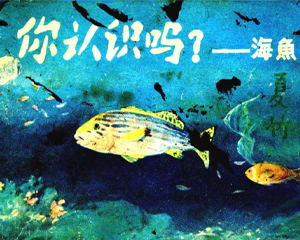 海鱼 全1册 1984年 PDF连环画 海洋出版社 百度网盘下载