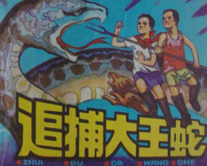 追捕大王蛇 全1册 1983年 PDF连环画 重庆出版社 百度网盘下载