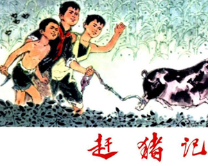 赶猪记 全1册 1974年 PDF连环画 天津人民美术 百度网盘下载