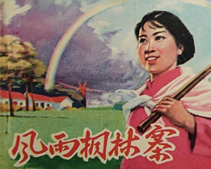 风雨桐林寨 全1册 1975年 PDF连环画 河南人民 百度网盘下载