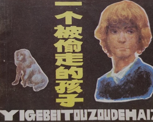 一个被偷走的孩子 全1册 1984年 PDF连环画 岭南美术 百度网盘下载