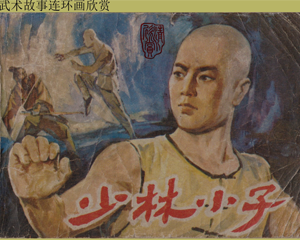 少林小子 全1册 1984年 PDF连环画 浙江少年儿童 百度网盘下载