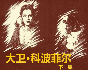 大卫•科波菲尔 下集 全1册 1999年 PDF连环画 辽宁美术 百度网盘下载