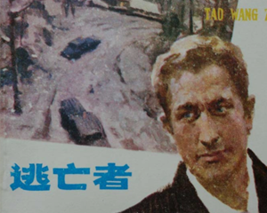 逃亡者 全1册 1981年 PDF连环画 江苏人民 百度网盘下载插图 逃亡者 全1册 1981年 PDF连环画 江苏人民 百度网盘下载