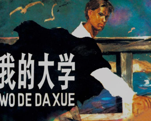 高尔基三部曲03 我的大学 全1册 1981年 PDF连环画 上海人民美术 百度网盘下载插图 高尔基三部曲03 我的大学 全1册 1981年 PDF连环画 上海人民美术 百度网盘下载