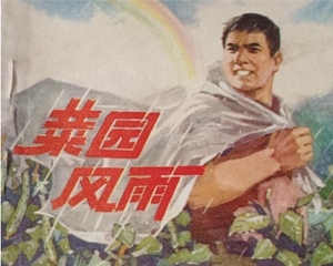 菜园风雨 全1册 1976年 PDF连环画 人民美术 百度网盘下载插图 菜园风雨 全1册 1976年 PDF连环画 人民美术 百度网盘下载