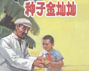 种子金灿灿 全1册 1975年 PDF彩色连环画 人民美术 百度网盘下载