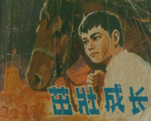 茁壮成长 全1册 1978年 PDF连环画 上海人民美术 百度网盘下载