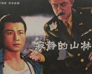 寂静的山林 全1册 PDF电影连环画 中国电影 百度网盘下载