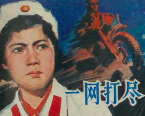 一网打尽 全1册 1982年 PDF连环画 山东人民 百度网盘下载