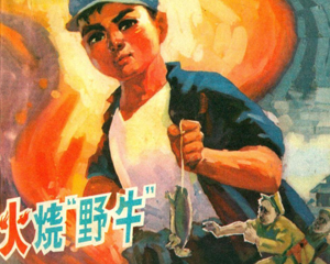 火烧野牛 全1册 1973年 PDF连环画 福建人民 百度网盘下载