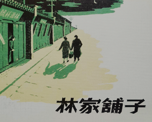 林家铺子 全1册 2008年 PDF连环画 人民美术 百度网盘下载