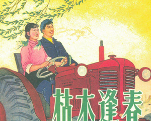 枯木逢春 全1册 2007年 PDF连环画 黑龙江美术 百度网盘下载