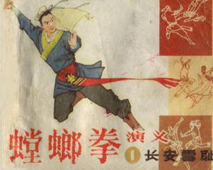 螳螂拳演义 1-16册全 2008年 PDF连环画 山东美术 百度网盘下载插图