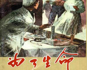 为了生命 全1册 2006年 PDF连环画 上海人民美术 百度网盘下载