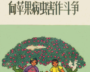 向苹果病虫害作斗争 全1册 1972年 PDF连环画 中国农业科学院果树研究所 百度网盘下载