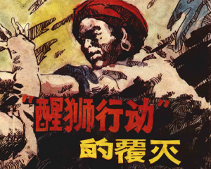 醒狮行动的覆灭 全1册 1984年仿印 PDF连环画 云南人民 百度网盘下载