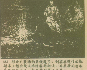 永不掉队的高星发 全1册 JPG连环画 连环画报 百度网盘下载插图 永不掉队的高星发 全1册 JPG连环画 连环画报 百度网盘下载