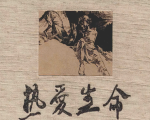 热爱生命 全1册 2010年 PDF连环画 云南美术 百度网盘下载