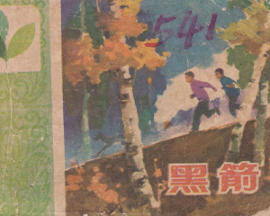 黑箭 全1册 1982年 PDF连环画 山东人民 百度网盘下载