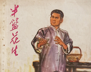 半篮花生 全1册 1975年 PDF连环画 浙江人民 百度网盘下载插图 半篮花生 全1册 1975年 PDF连环画 浙江人民 百度网盘下载