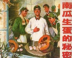 南瓜生蛋的秘密 全1册 1975年 PDF连环画 辽宁人民 百度网盘下载插图 南瓜生蛋的秘密 全1册 1975年 PDF连环画 辽宁人民 百度网盘下载