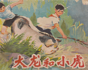 大龙和小虎 全1册 1975年 PDF连环画 河北人民 百度网盘下载