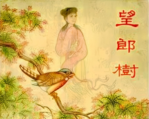 望郎树 全1册 1955年 PDF连环画 新美术 百度网盘下载