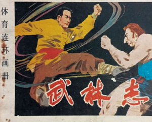 武林志 全1册 1982年 PDF连环画 人民体育 百度网盘下载