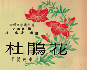 杜鹃花 全1册 1953年 PDF连环画 连环画报 百度网盘下载