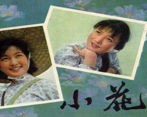 小花 全1册 1980年 PDF电影连环画 中国电影 百度网盘下载