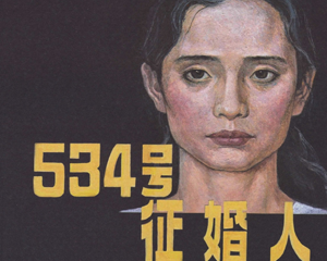 534号征婚人 全1册 2012年 PDF连环画 连环画出版社 百度网盘下载