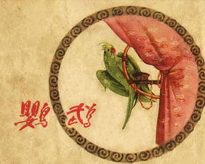 鹦鹉 全1册 1955年 PDF连环画 新艺术 百度网盘下载